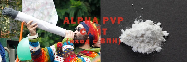 гашик Надым