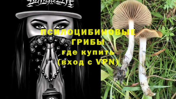шишки Наволоки