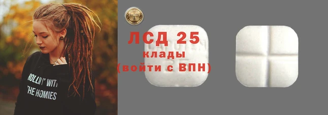 шишки Наволоки