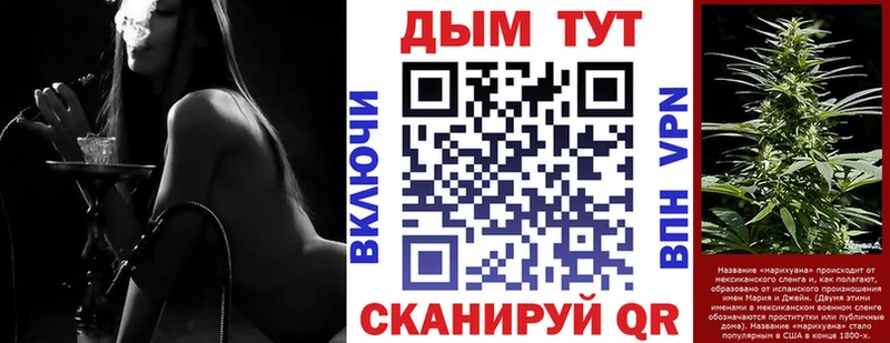 Канабис White Widow  Купить где  Гусев 